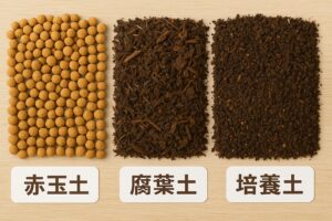 オクラを鉢植えするときの土のおすすめは？