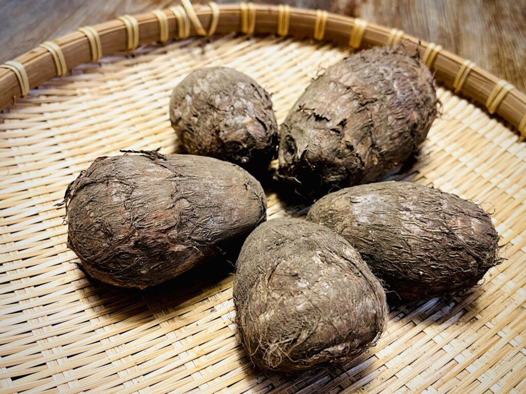 里芋の育て方と成功のコツ