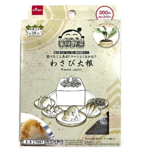daiso　ワサビ栽培セット