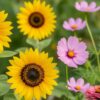 一年中咲く花をプランターで！育てやすい多年草の選び方