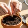 食べた種から育てるかぼちゃ｜プランター栽培の完全ガイド