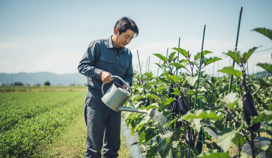 水やりをしおれる前に徹底する方法